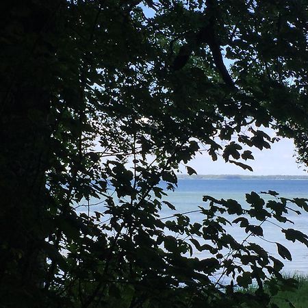Lindegaardapartment - Woods And Sea Hejls 外观 照片