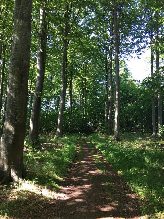 Lindegaardapartment - Woods And Sea Hejls 外观 照片