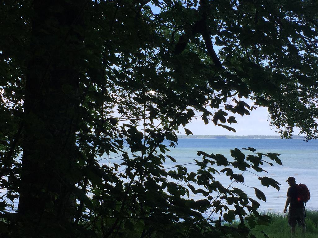 Lindegaardapartment - Woods And Sea Hejls 外观 照片